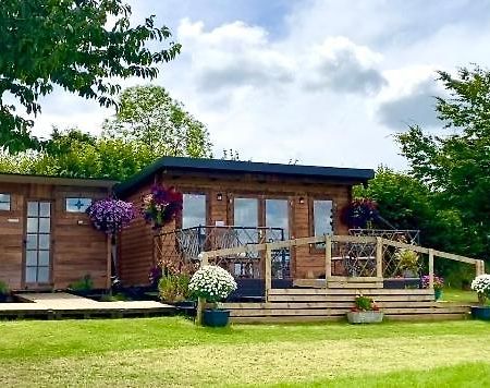 Cherry Tree Glamping Lodge Wellington  Exteriér fotografie