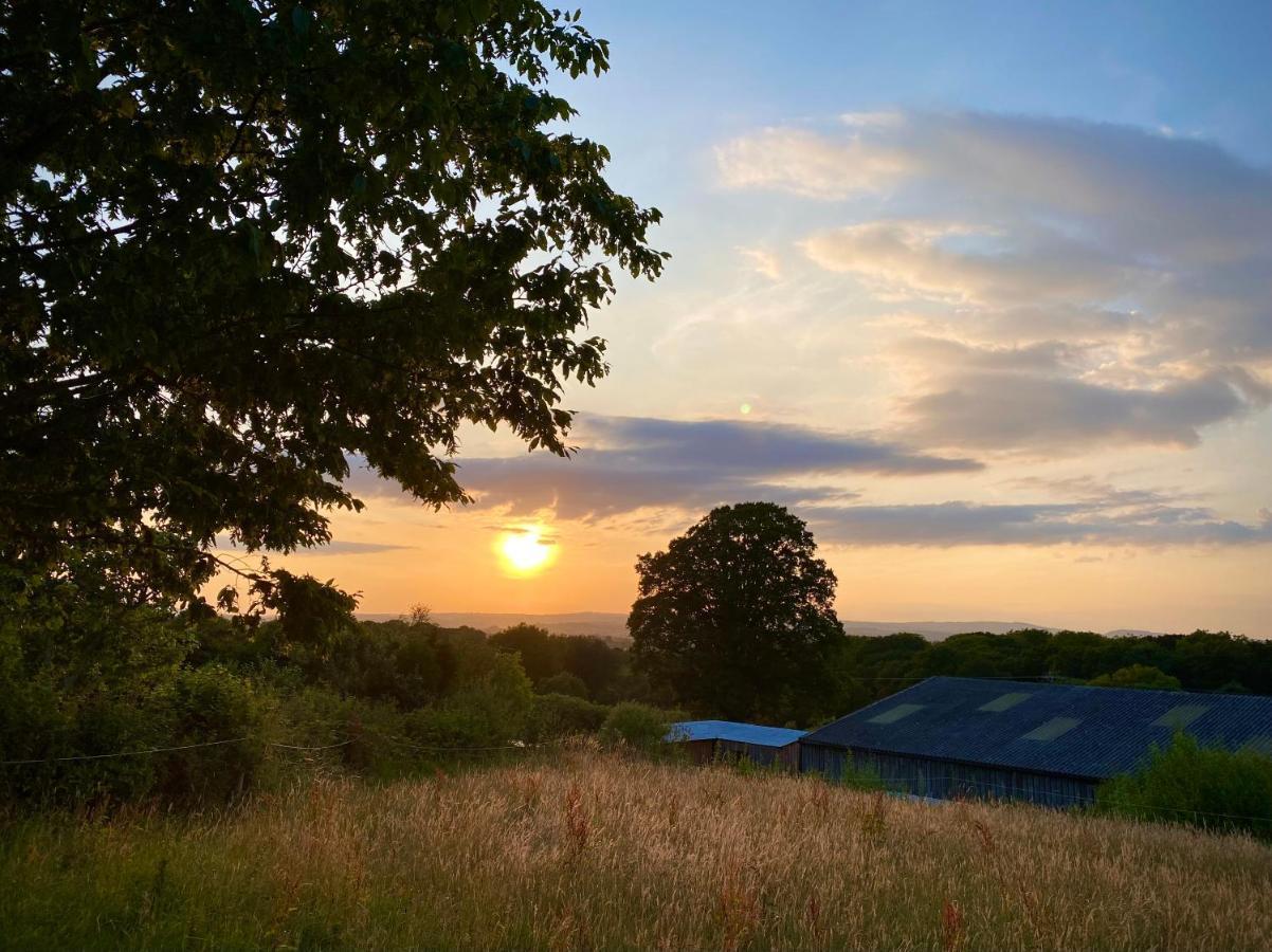 Cherry Tree Glamping Lodge Wellington  Exteriér fotografie